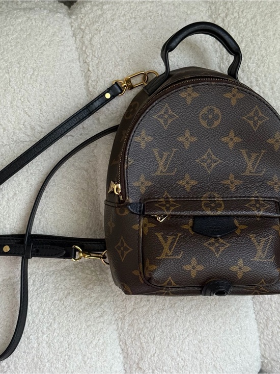 Louis Vuitton Handbags - Louis Vuitton Palm Springs Mini Monogram Backpack